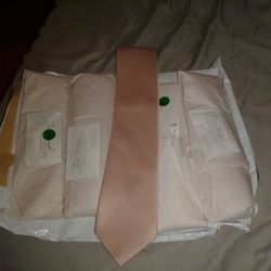 5 blush nude men's silk neck ties