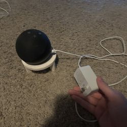 Echo Dot (With plug and stand)
