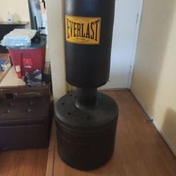 Everlast Punching Bag