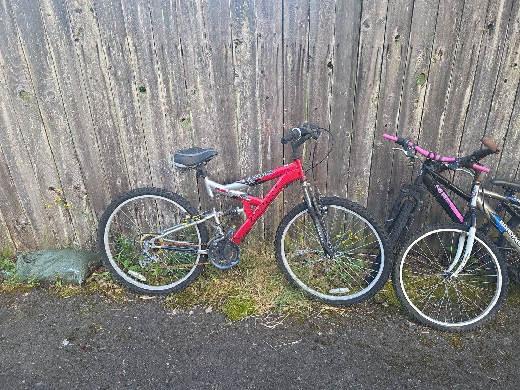 Magna Editor Series Bike