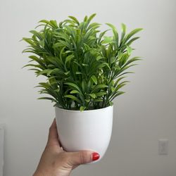 Faux Plant $5
