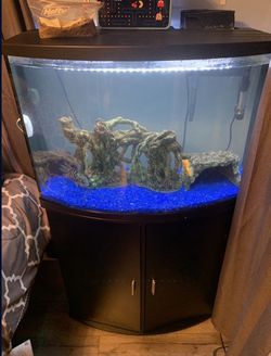 36 Gallon Fish Tank