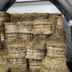 Timothy Alfalfa Compressed Hay Bales