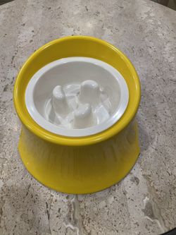 Raised Dog Bowl For Medium Size 2 Pcs Set