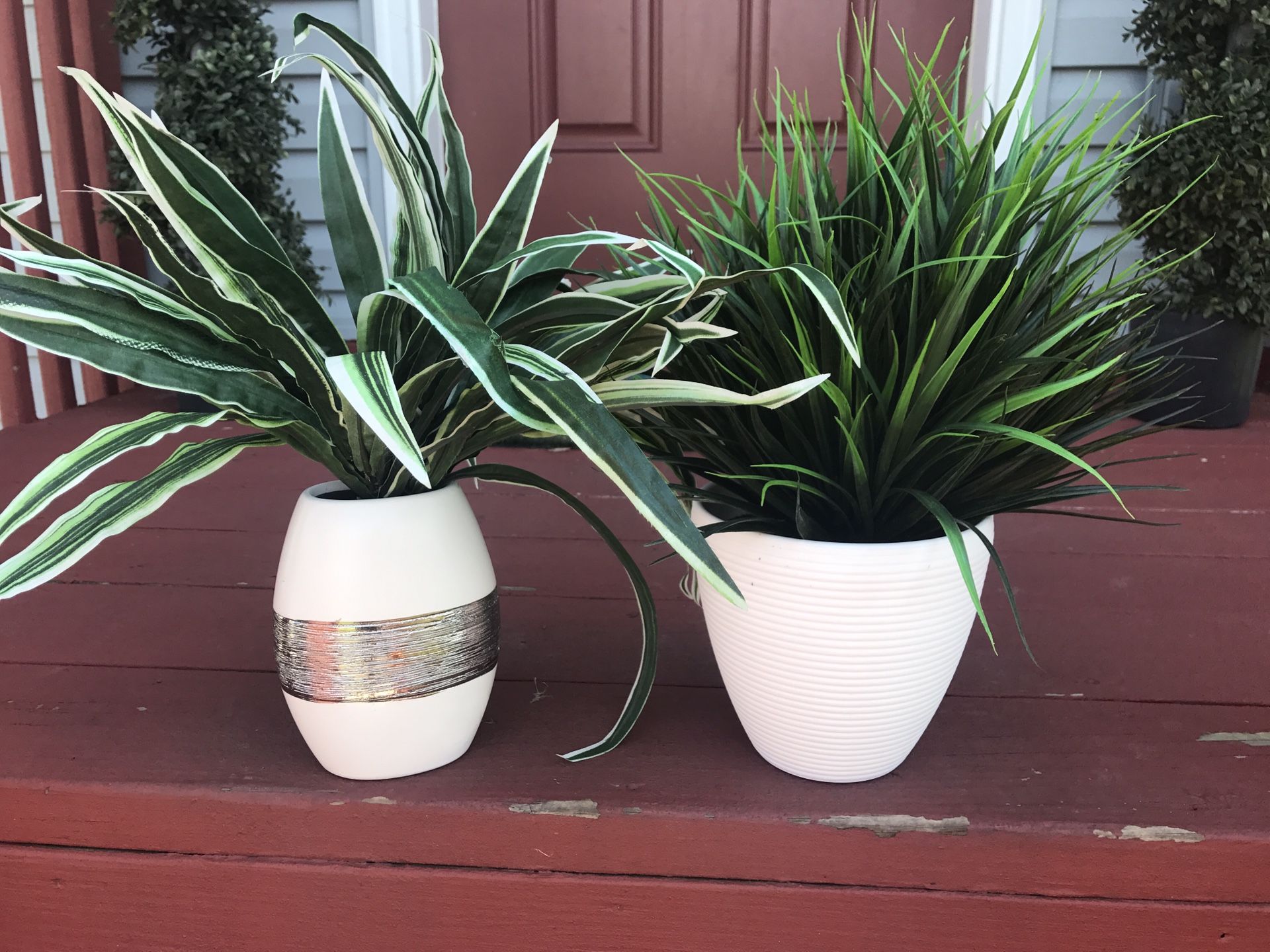 Potted flowers