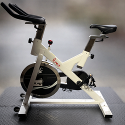 Sunny Spin Bike – Barely Used – Must Go Today