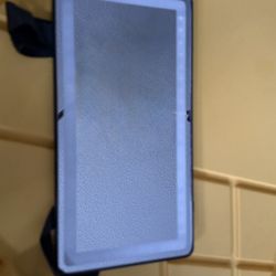 Passenger Mirror With Light 