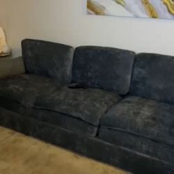 Gray Velvet Couches 2 Set