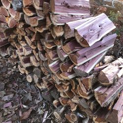 Drive Cedar firewood