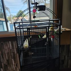 Cage For Bird