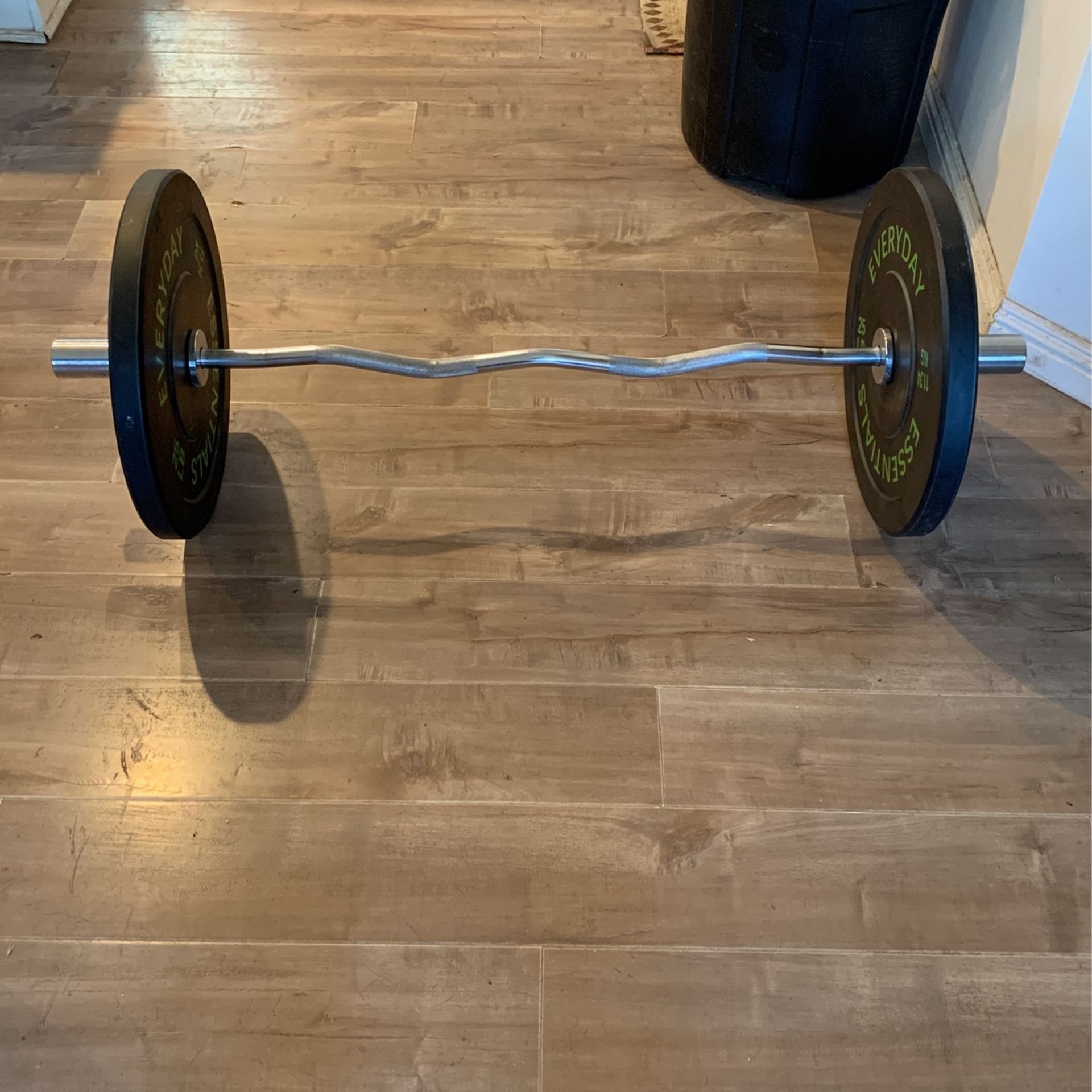 Curl Bar With 2 Twenty Five Olympic Weights And Locks