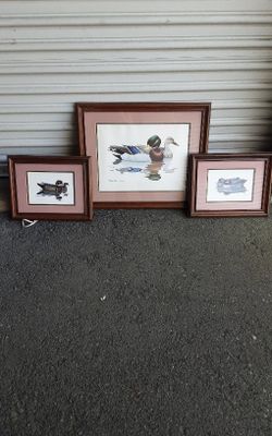 Duck Pictures 3 Piece Set