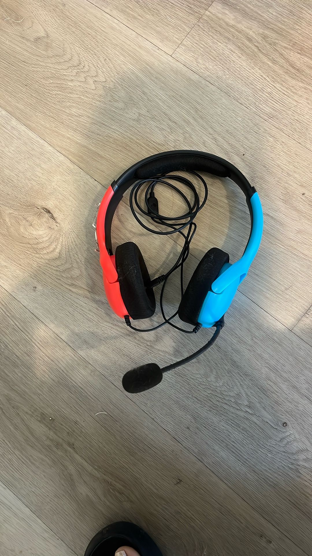 Nintendo Switch Headphones