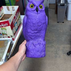 Purple Owl Decor 