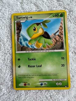 Turtwig Lv.10 Pokémon Card 17/17