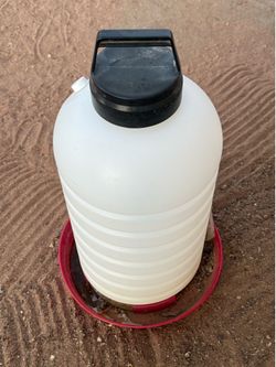 Chicken water dispenser