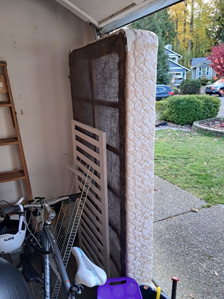 FREE Twin Box Spring