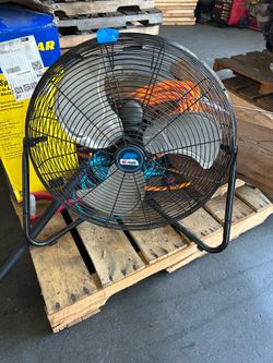 Fan