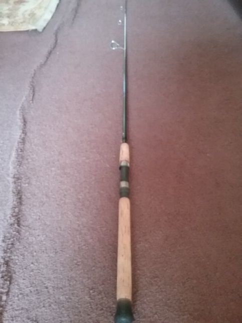 Shimano Teramar spinning fishing rod