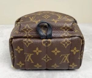 Louis Vuitton backpack