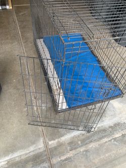 XL dog training cage