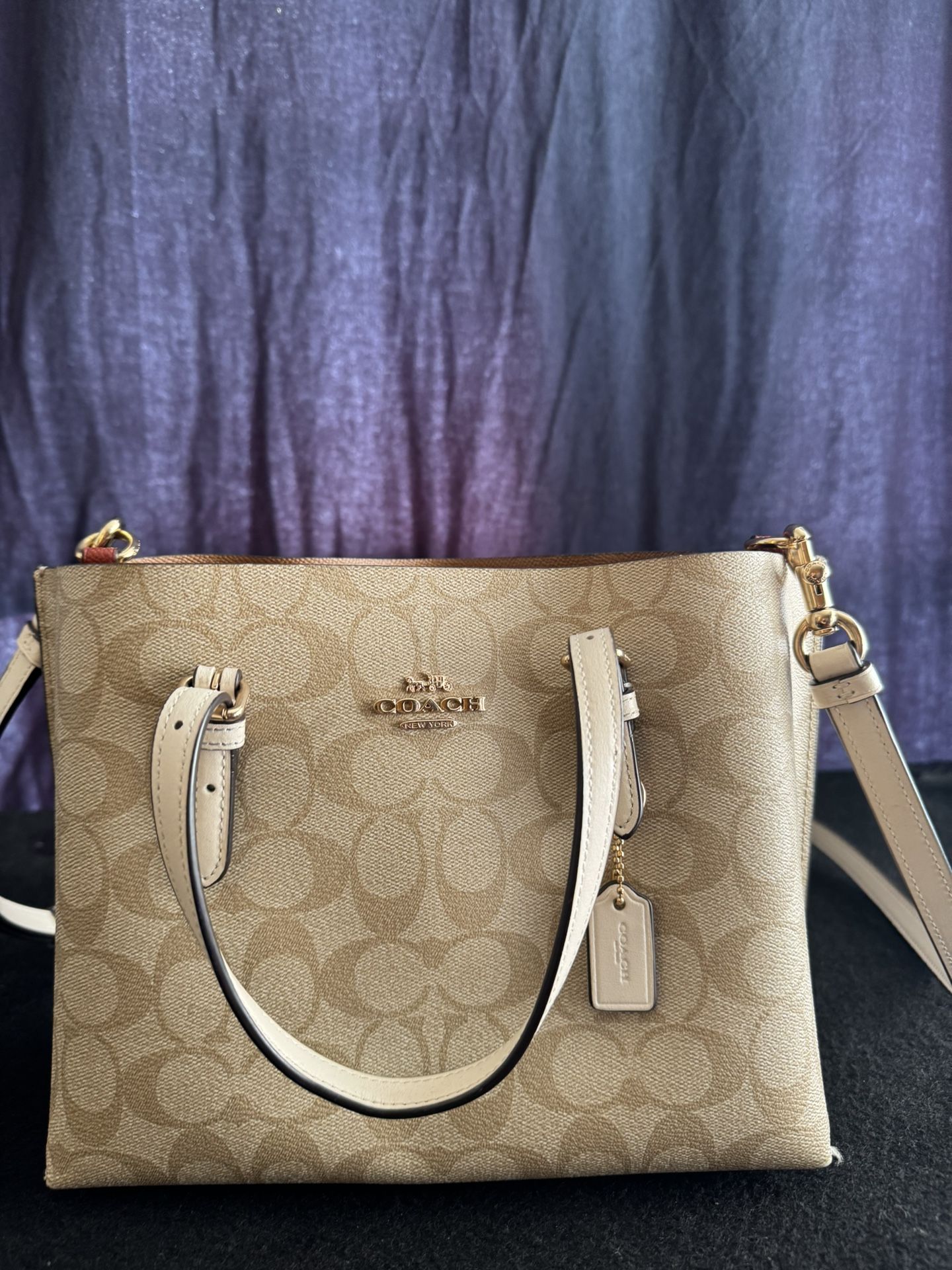 Coach Mollie Tote 25
