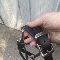 Black Leather Halter- Padded Crown And Noseband 