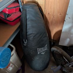 Title Wall Mounted Boxing Bag And Everlast Teardrop Bag