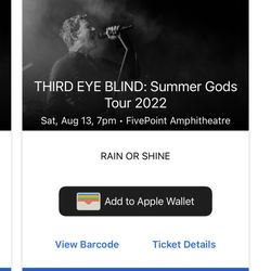 2 Tix -THIRD EYE BLIND -9th Row $300 For Both