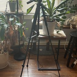 Phone Tripod