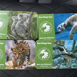 San Diego Zoo Tickets Or Safari 