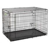 Dog Cage