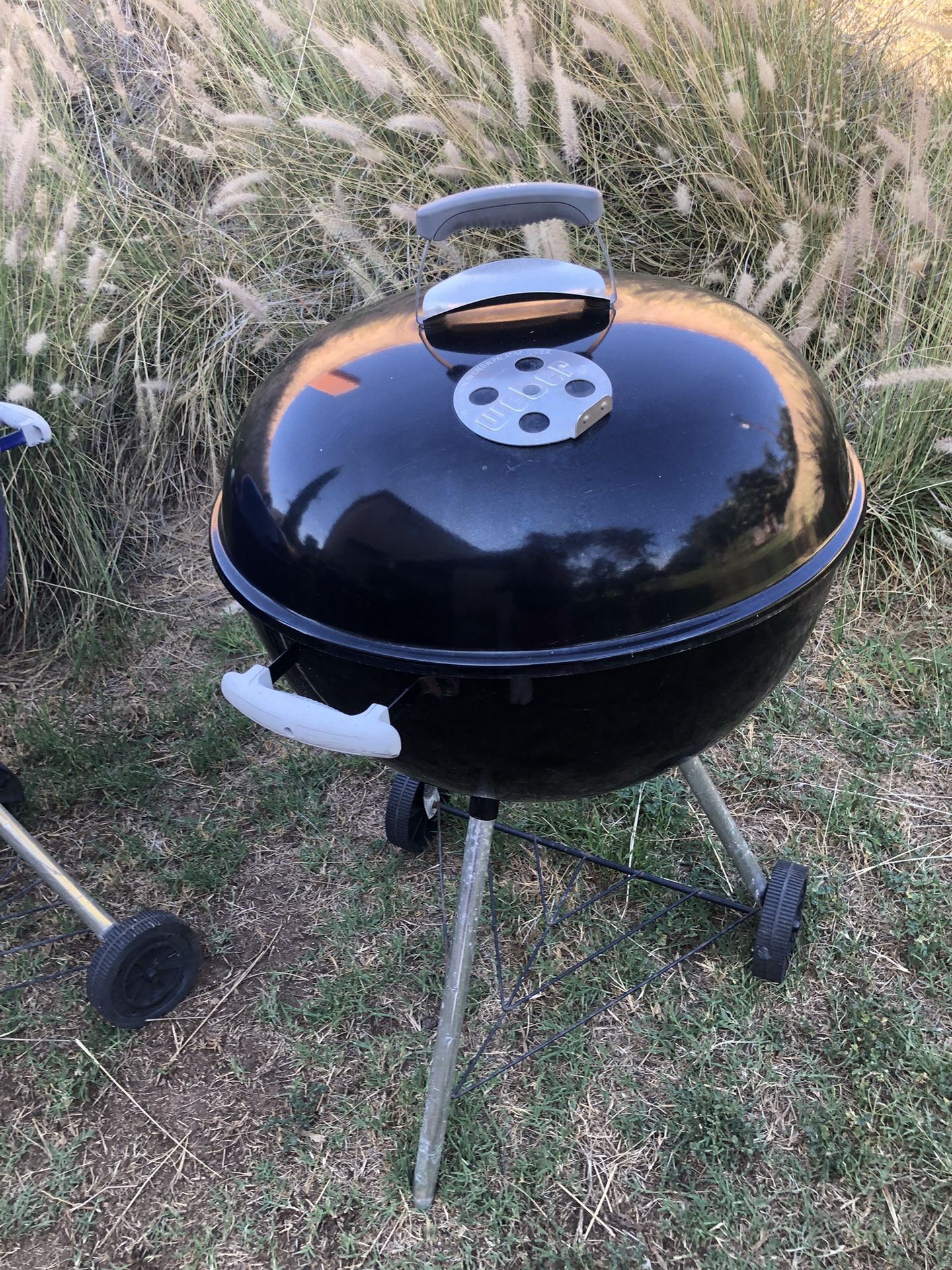Weber Charcoal Grill