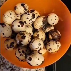 Organic Quail Eggs 