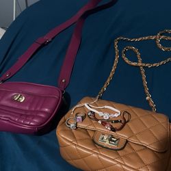 Bundle jewelry and purses