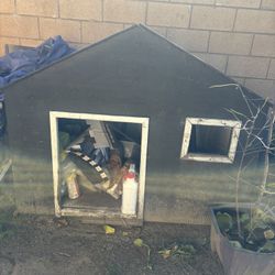  dog house 
