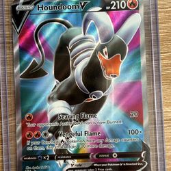 Houndoom v 