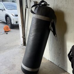 Punching Bag/ Heavy Bag 100lbs