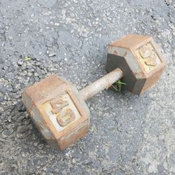 40 pounds single cast iron hex dumbell