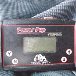 Power Pup Bully Dog