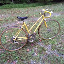 GIRLS SCHWINN ROAD BIKE. 100 BUCKS