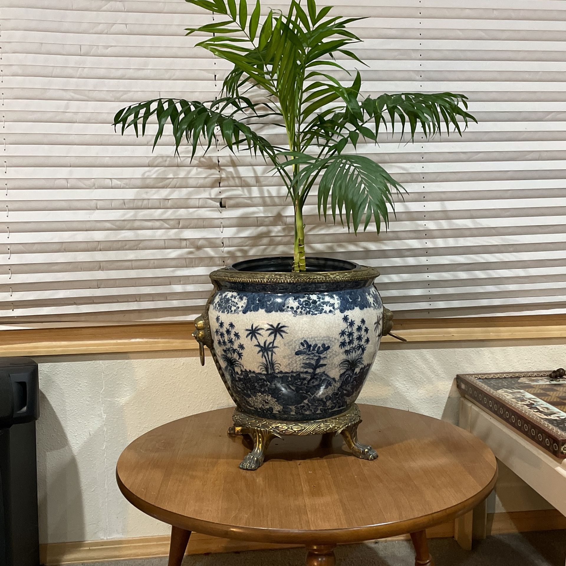 Beautiful Collectable Rare Plant Pot