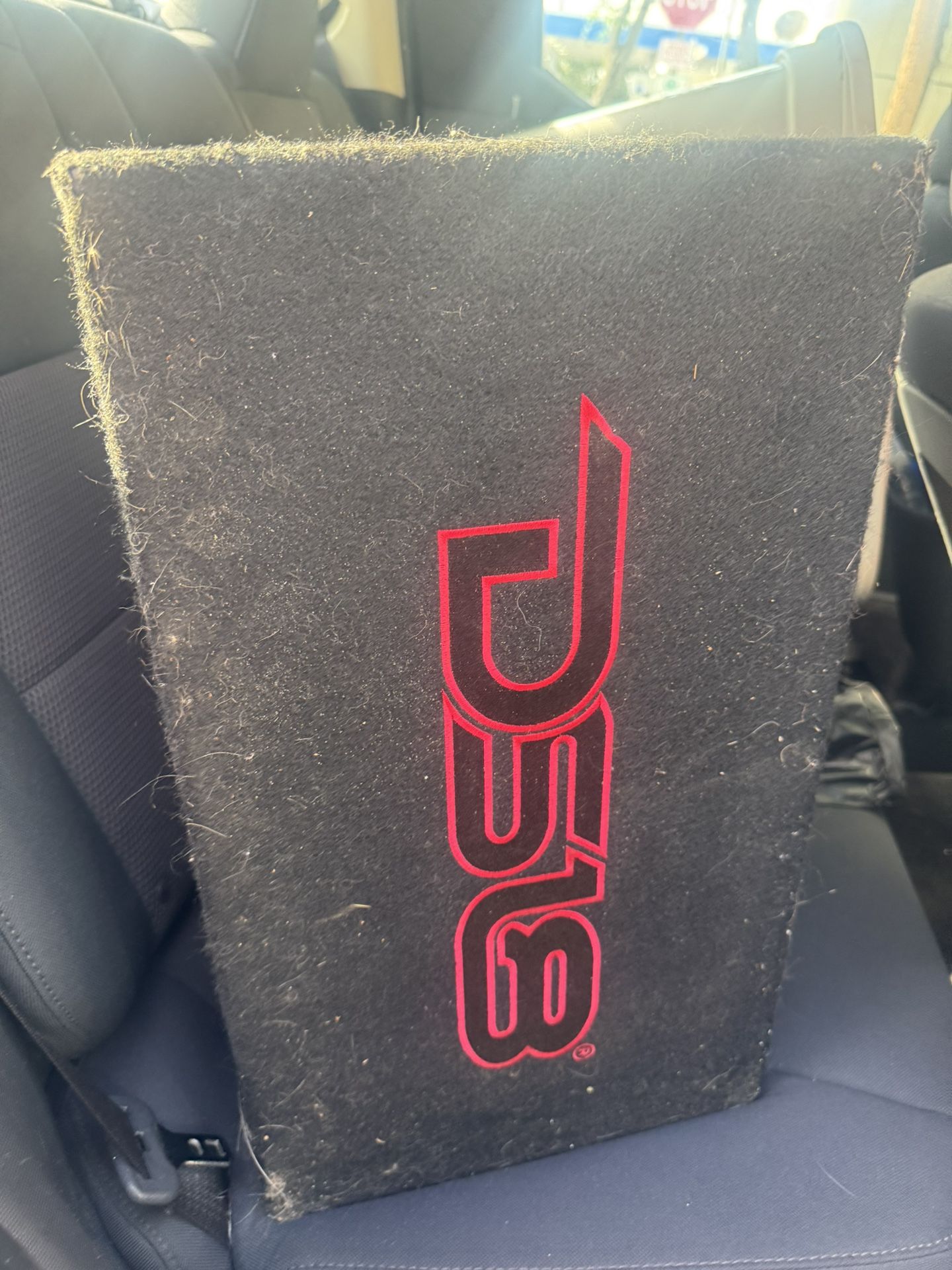 Ds18 10” Subwoofer 