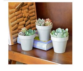 Youngever 8 Pack 5.5 Inch Plastic Planters Indoor Flower Plant Pots, Classic Decorative Gardening Pot with Drainage Holes (Gray No Saucers)