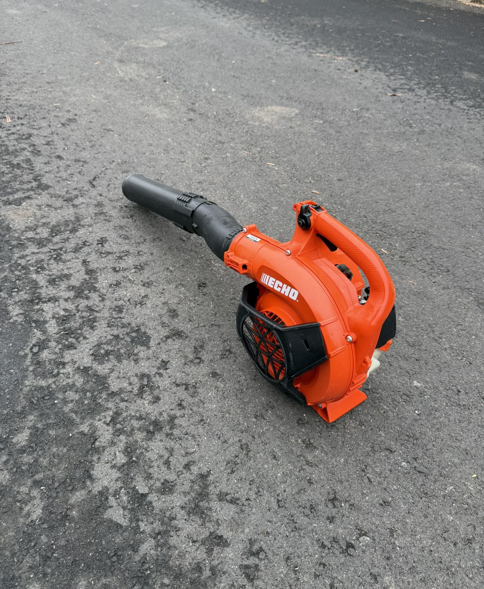 Echo Gas Leaf Blower