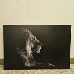 Lion Portrait