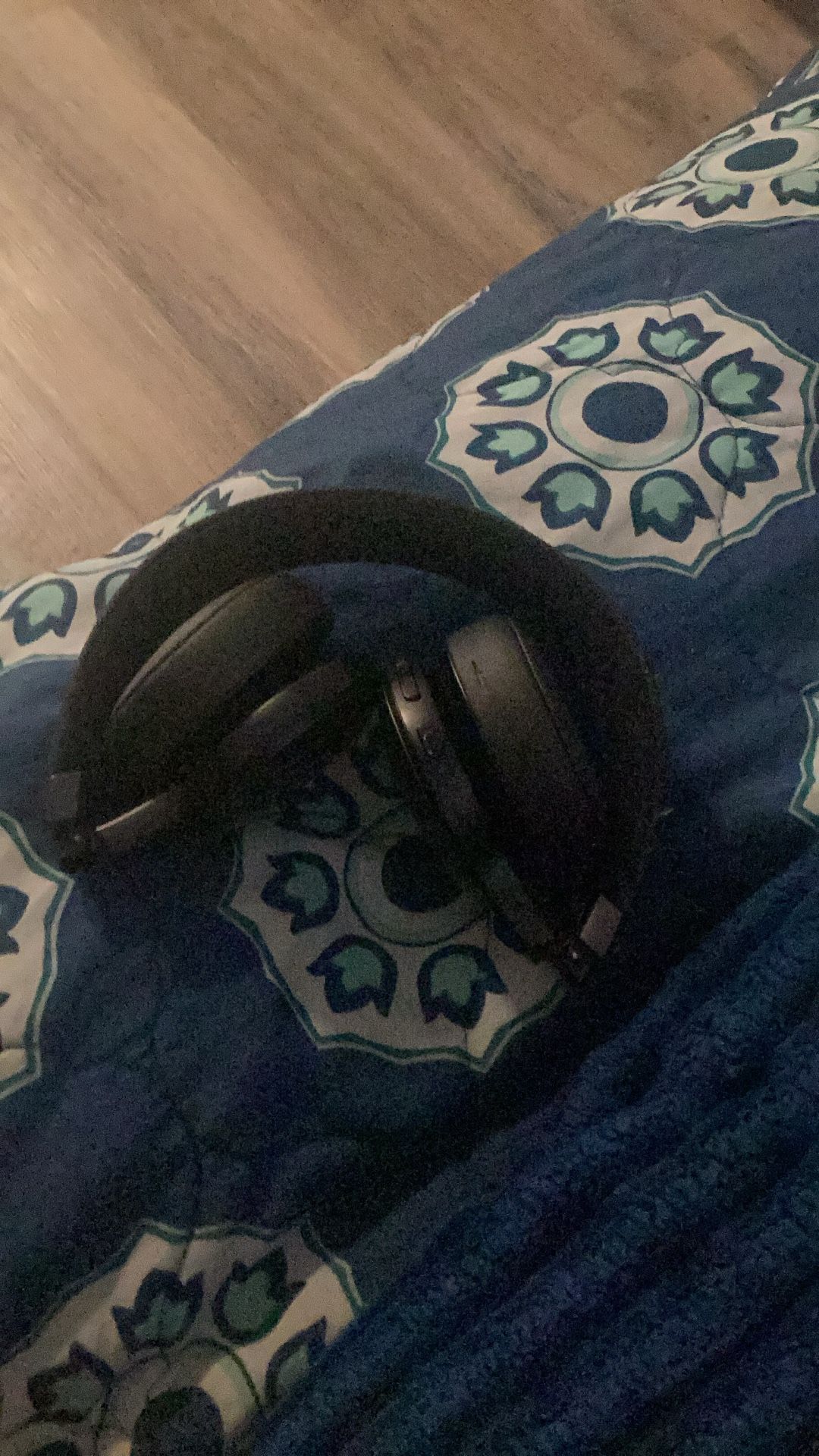 JBL Headphones 