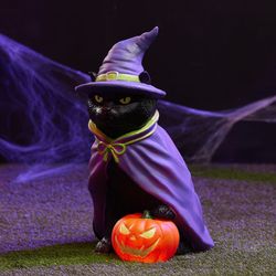 Black Cat Witch Blow Mold