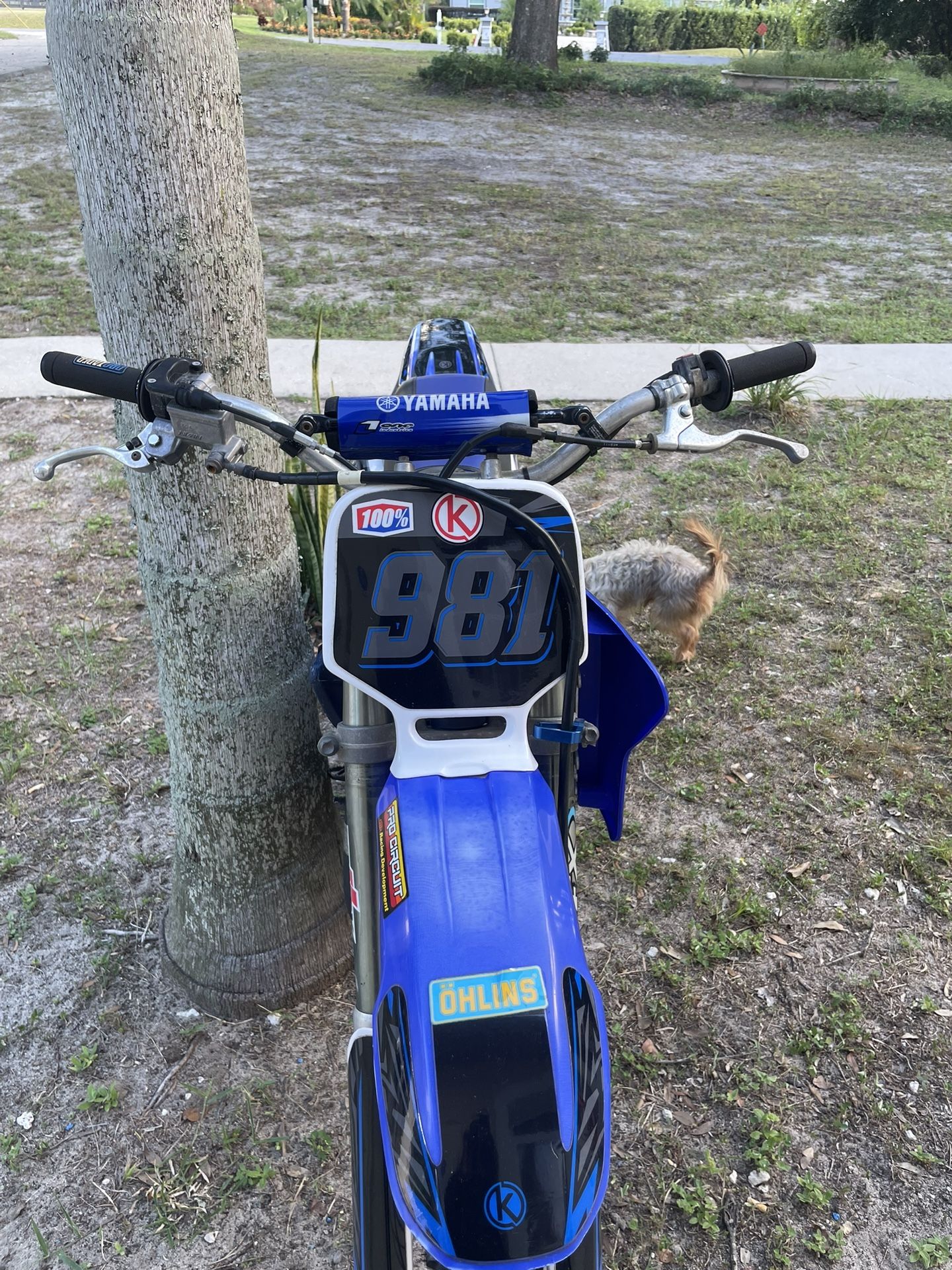 2005 Yamaha YZ 85
