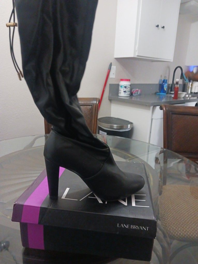Thigh High Boots By Lane